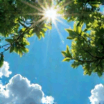 Kein Kabelsalat – nur Sonnenstrahlen!